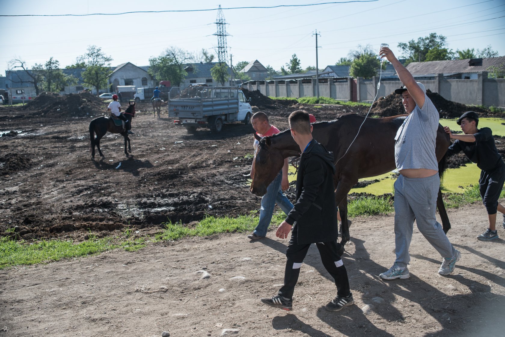 Лошадь под капельницей ведут в конюшню после скачки