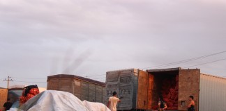 Кыргызстан обеспечит Россию продуктами после запрета западных товаров