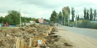 Видео: Как рубят знаменитую аллею Раппопорта в Чолпон-Ате