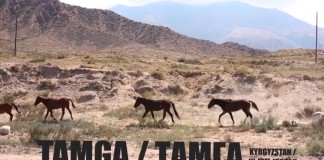 Пешком по Кыргызстану, часть 3: Тамга. Лошади и cамолеты