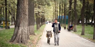 Пешком по Кыргызстану, часть 8: Бишкек — Неторопливая cтолица