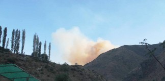 Видео: Масштабы пожара в Чычкане превысили площадь 160 футбольных полей