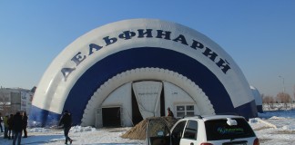 Открытие дельфинария в Бишкеке вызвало недовольство пользователей соцсетей (+видео)