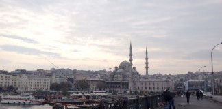 Департамент туризма предложил приостановить безвизовый режим с Турцией