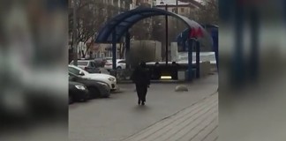 Москва: Задержана женщина с головой ребёнка в руках