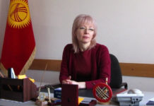 Строкова: Закон об НКО слишком мягкий, при этом до сих пор нет механизмов его реализации