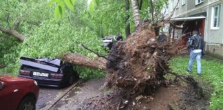 Во время урагана в Москве пострадали двое кыргызстанцев
