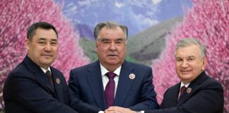 Жапаров предложил соседям учредить «Центральноазиатский шенген»